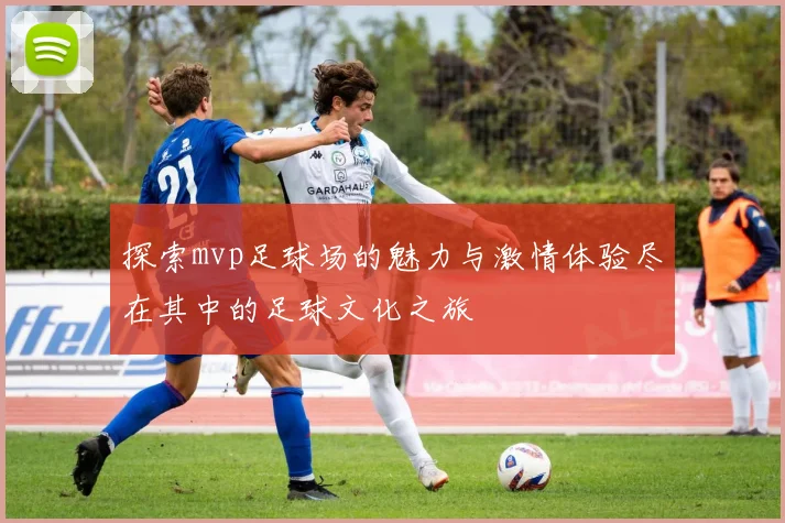 探索mvp足球场的魅力与激情体验尽在其中的足球文化之旅