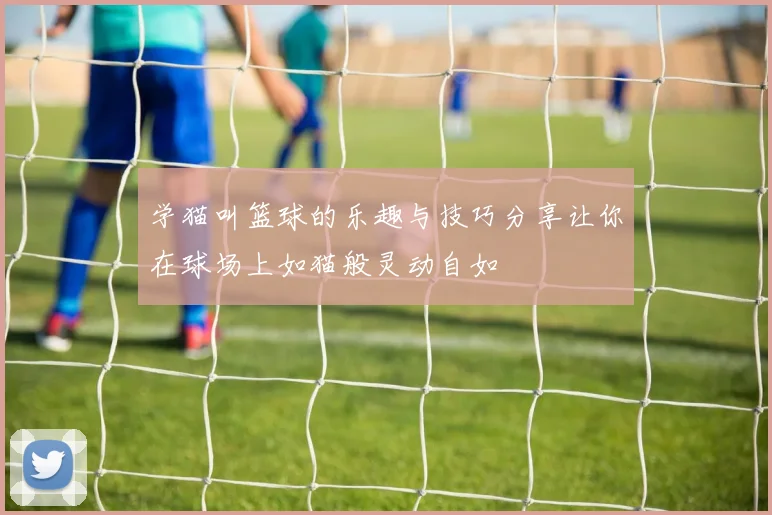 学猫叫篮球的乐趣与技巧分享让你在球场上如猫般灵动自如