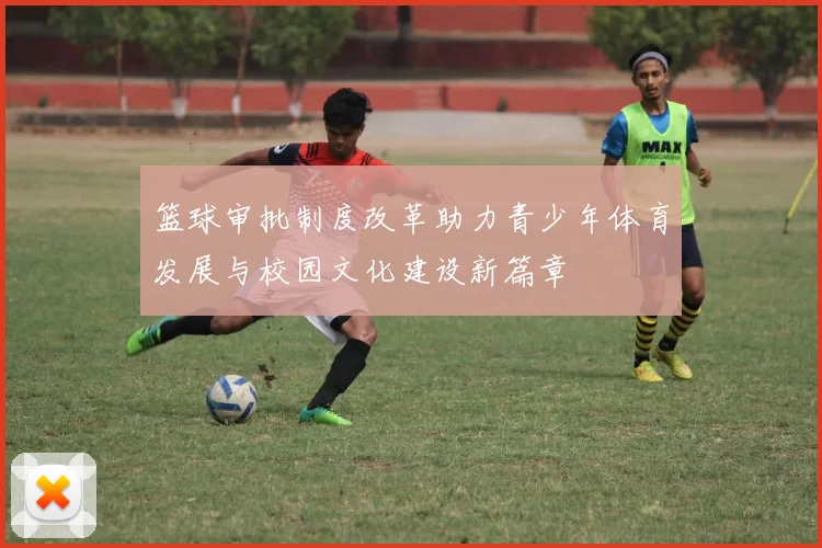篮球审批制度改革助力青少年体育发展与校园文化建设新篇章