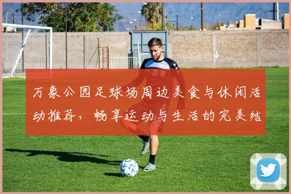 万象公园足球场周边美食与休闲活动推荐，畅享运动与生活的完美结合